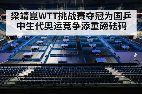 Liang Jingkun table tennis